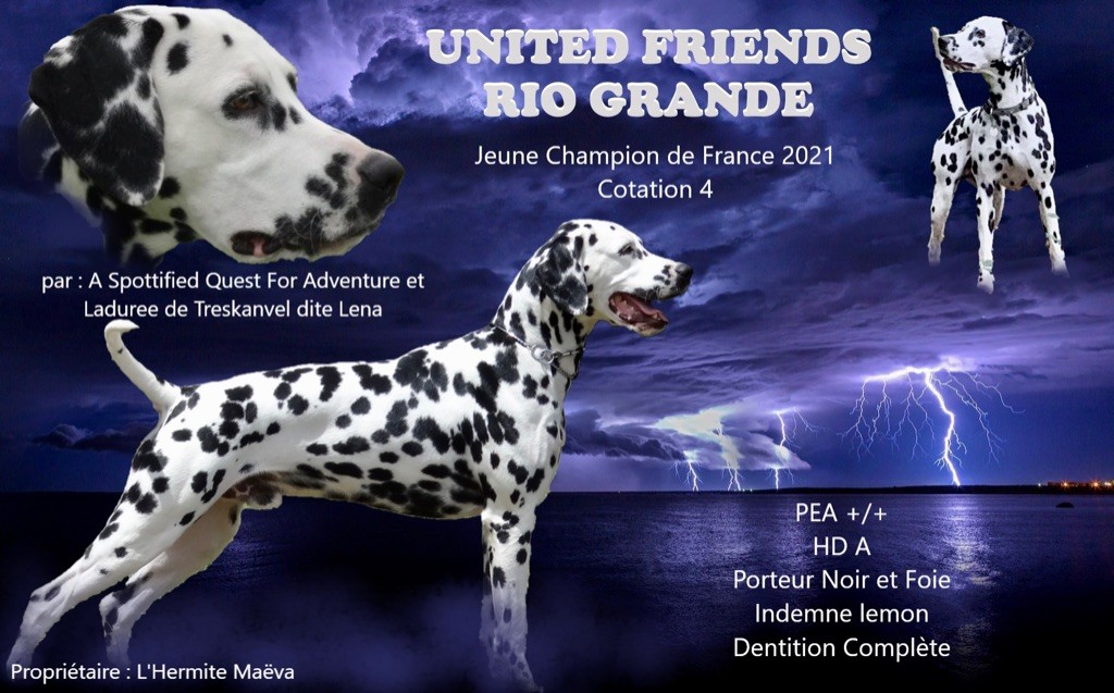 United Friends Rio grande