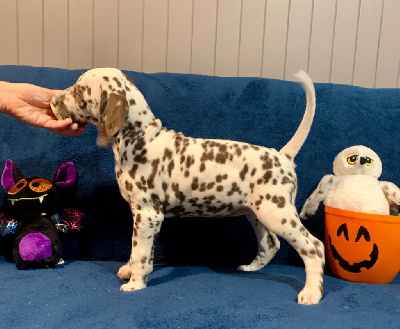 Affectueuse Princesse